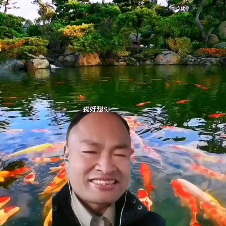 乡村乐哥（每天五点半开播）