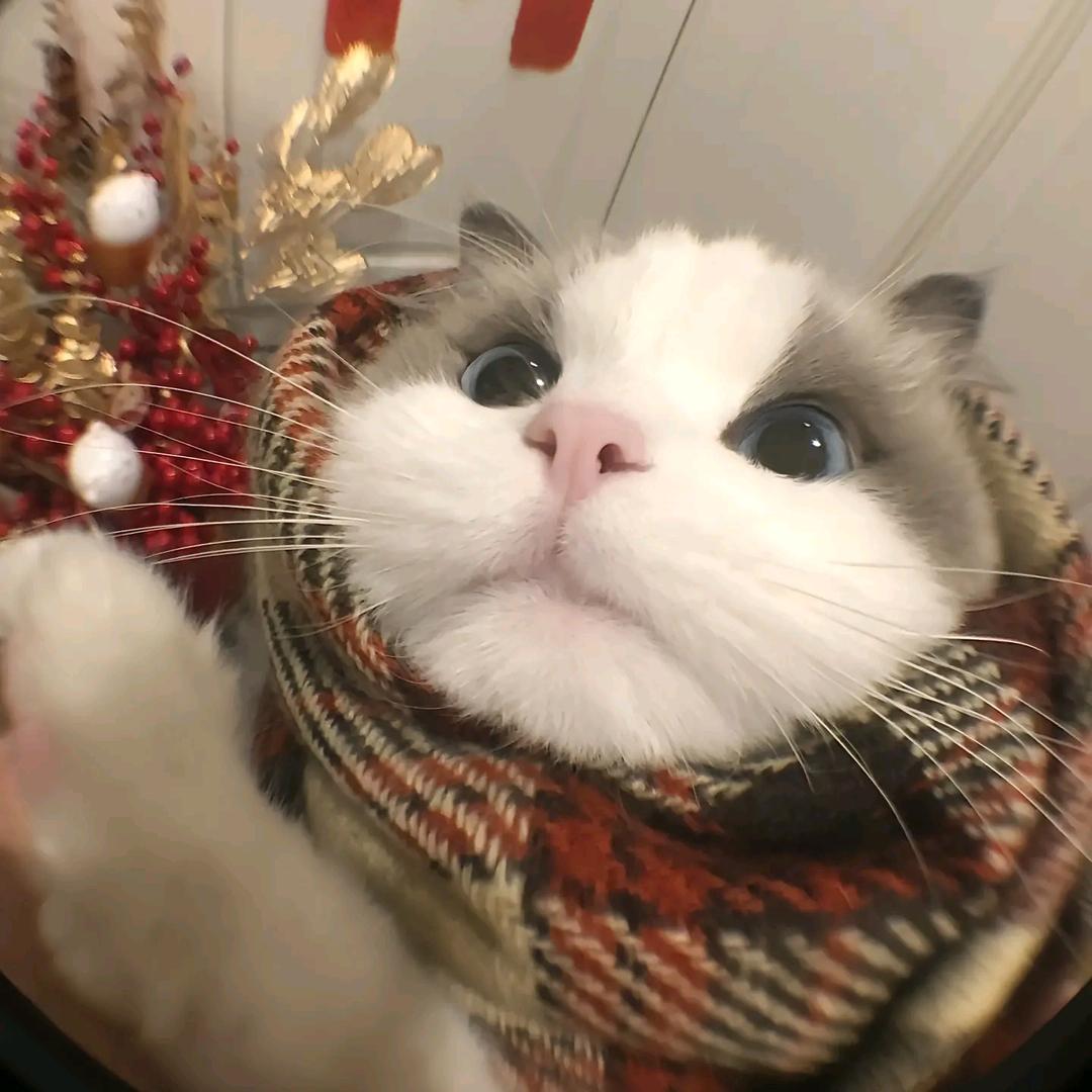 一拳把地球干爆