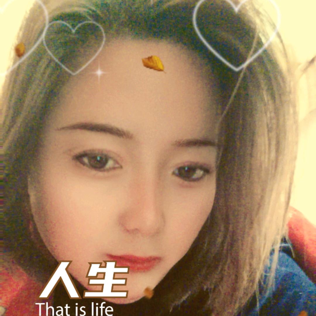 宫凤理龙机械设备租赁