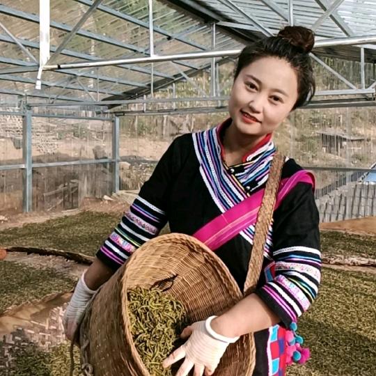 列露号茶姑娘（源头茶农)左手咖啡右手茶