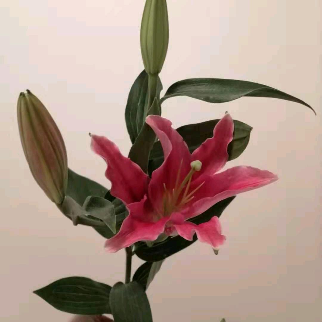 从新开始，忘了一切