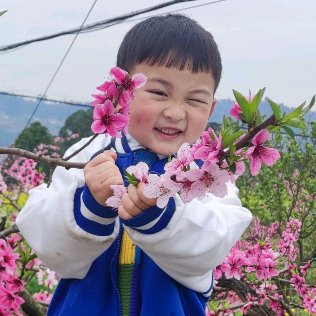 🐷👌🏻伍🌫️里看花