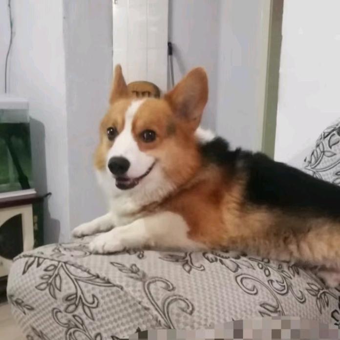 AA正能量