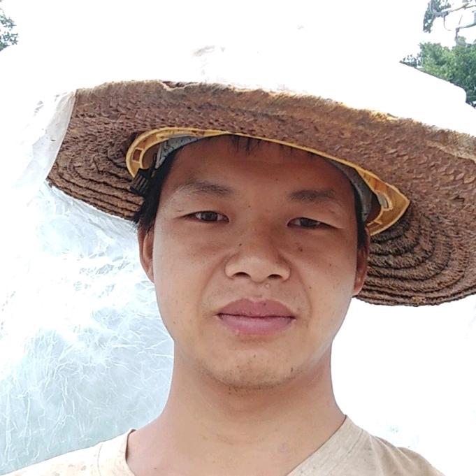 草原灰太狼