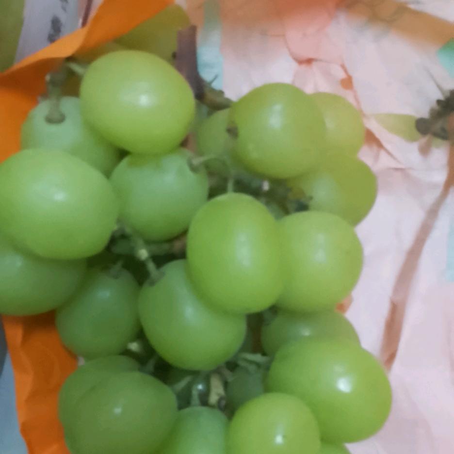 萍(｡･ω･｡)ﾉ♡