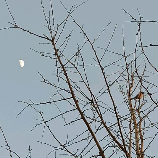 夜夜夜夜夜黑风高