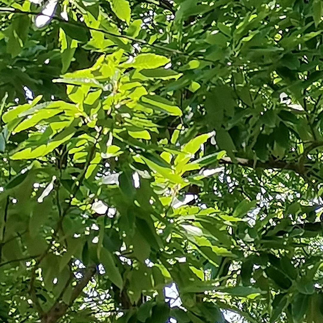 等风来🍀
