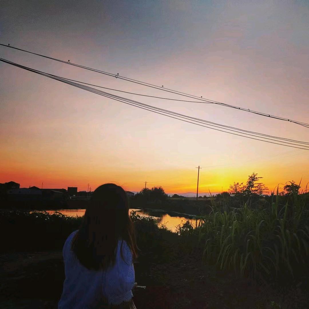 琴～