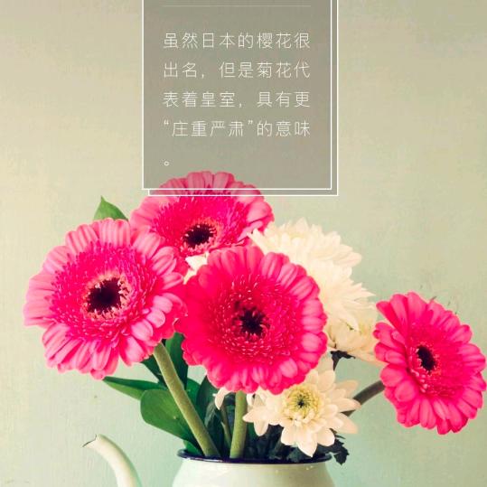 用户静静