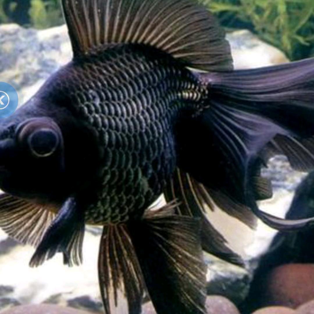 →签短情长。。。