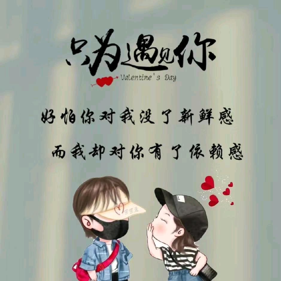 江枫
