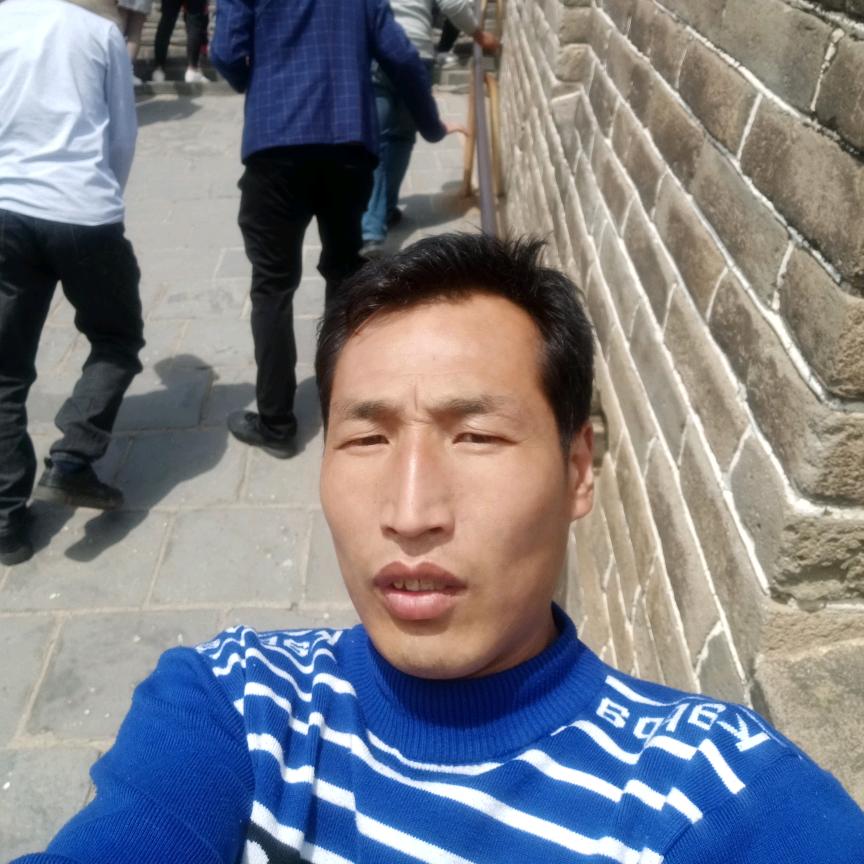 运输小王子
