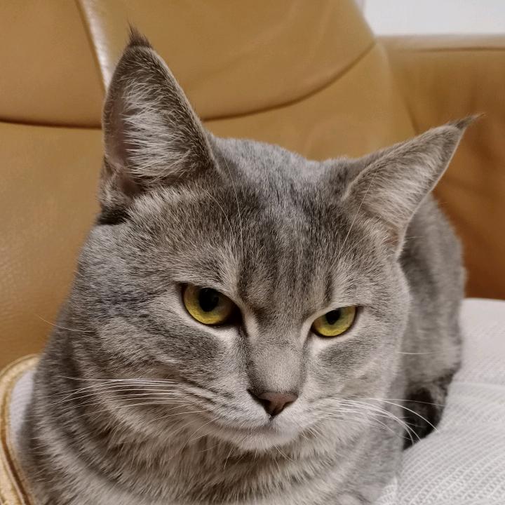 @健康=福