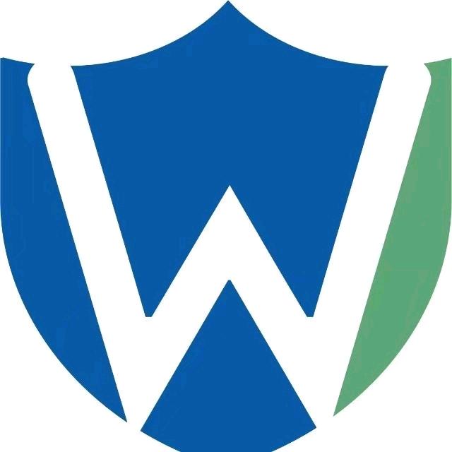 网信新疆
