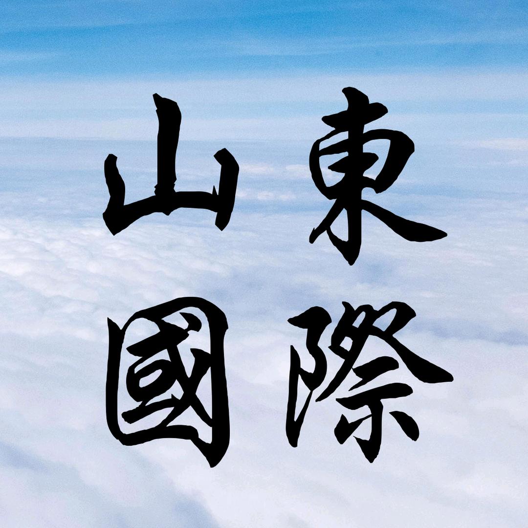 山东国际合作联合有限公司