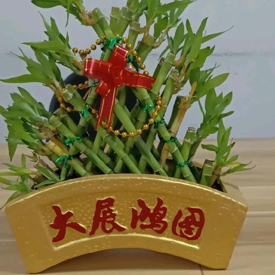 奶油桃子