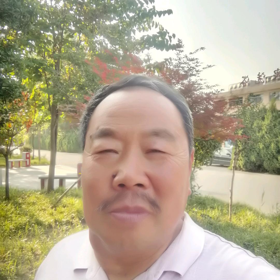 大龙。
