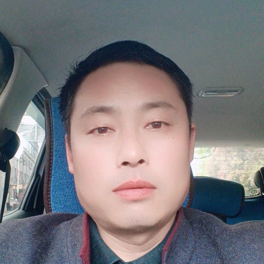 任我飞翔
