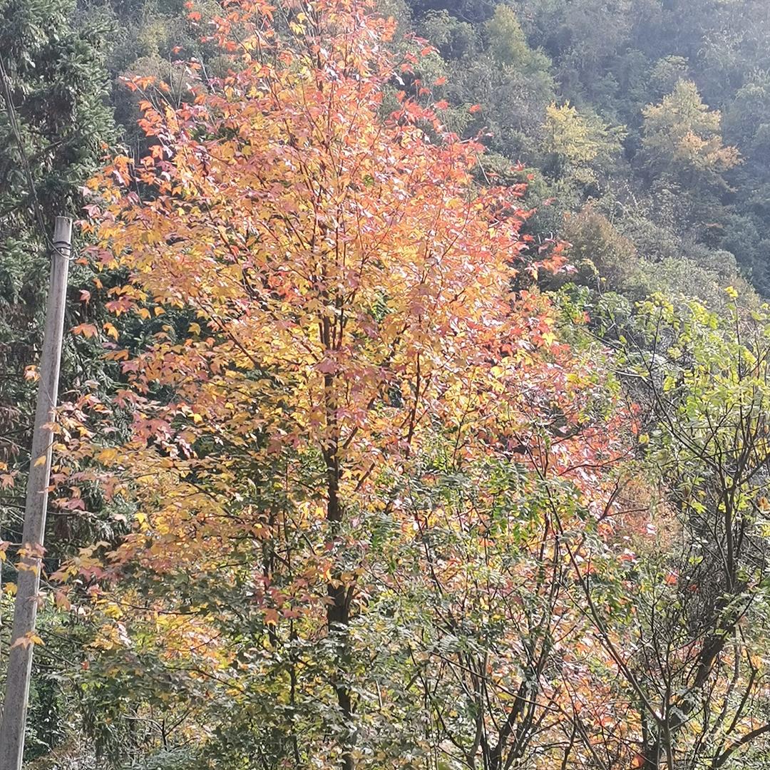越老越静