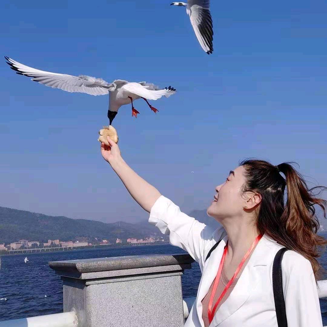 小婉君