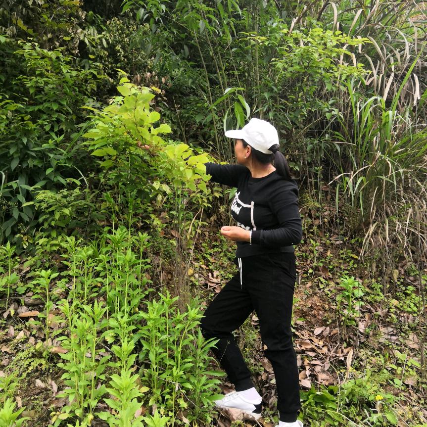 珍惜一切