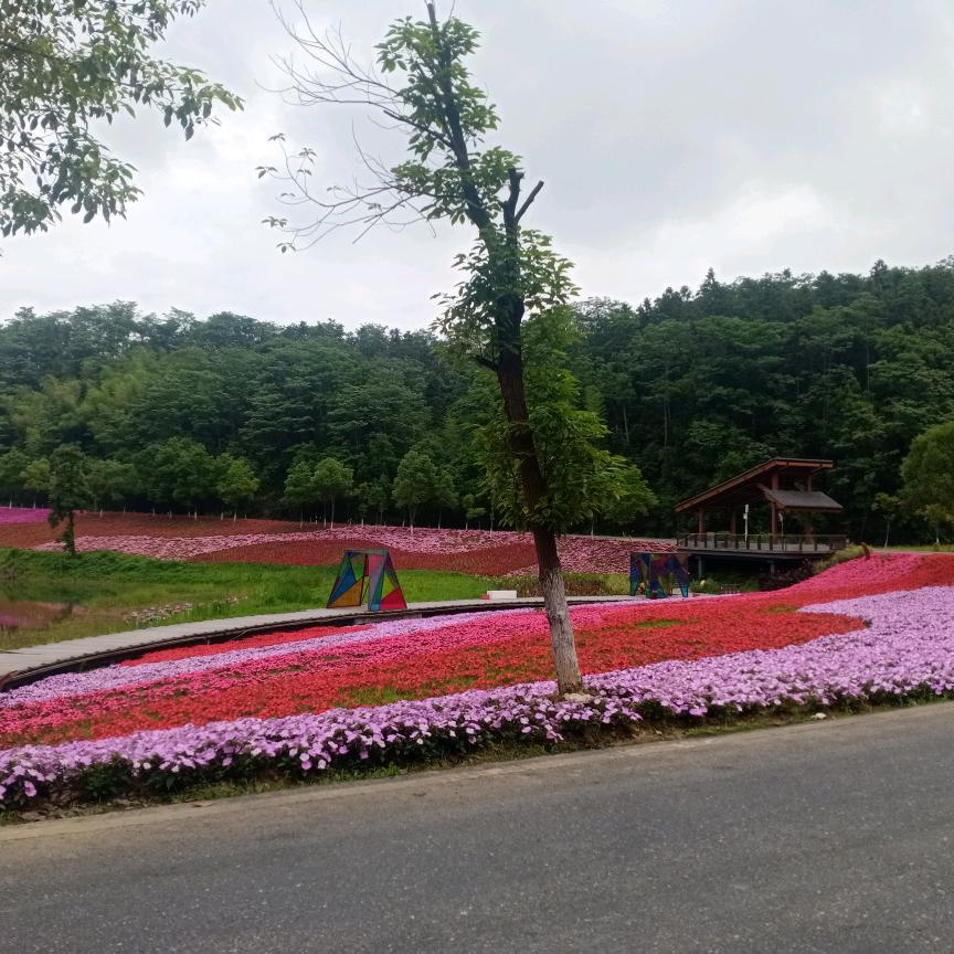 真的好想你😄😄