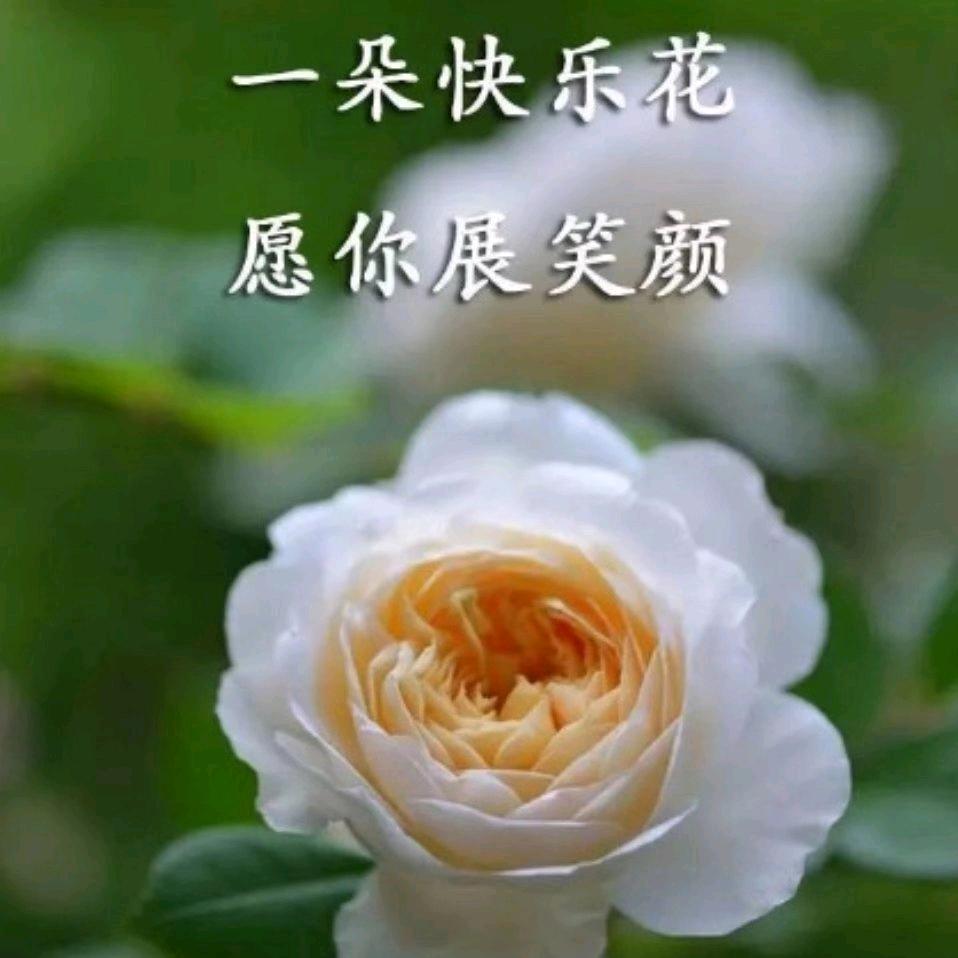 涓涓细流