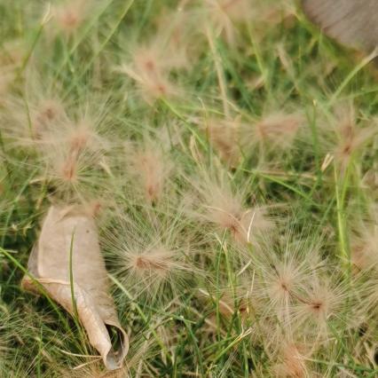 “～【明天会更好】～”