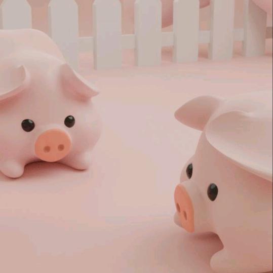 小金猪