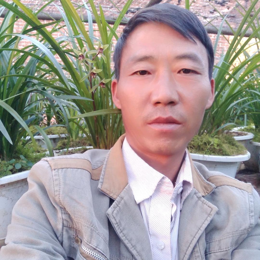 云南兰哥