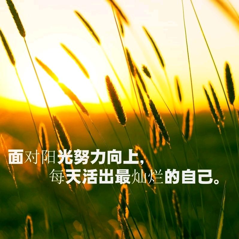 正能量満满·说唱