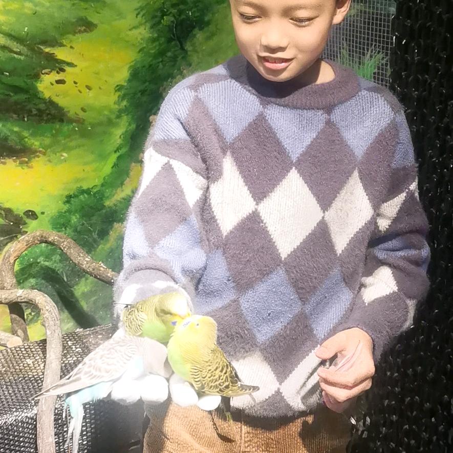 轩轩₍ᐢ..ᐢ₎♡