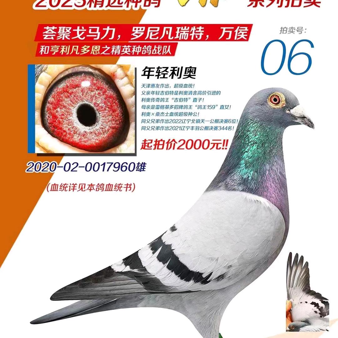 无心人