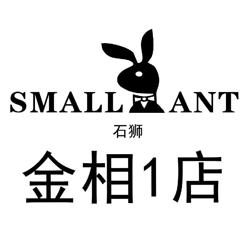 SMALL ANT金相1店