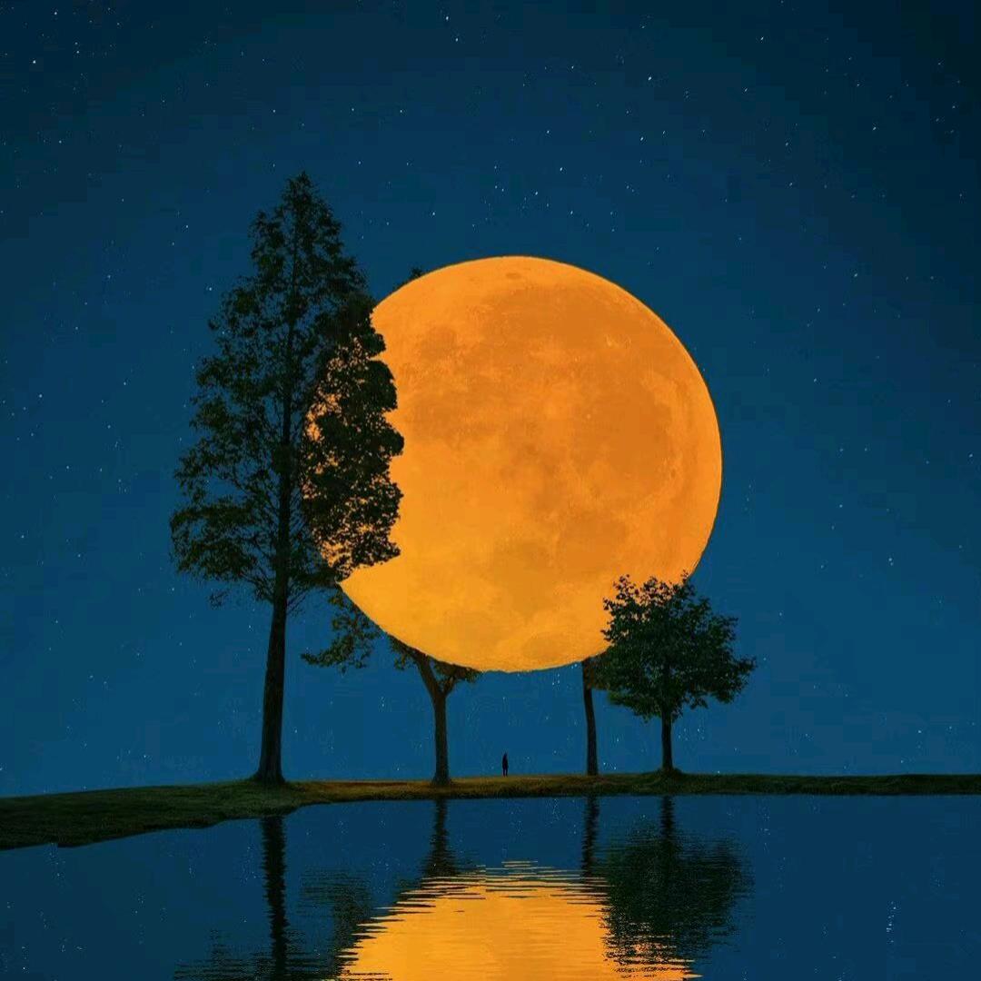 一帆风顺🇨🇳