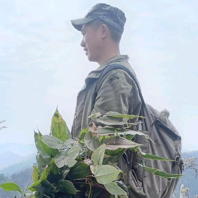 英登山🍀