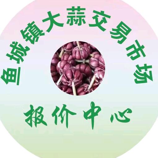 鱼城镇大蒜市场报价中心