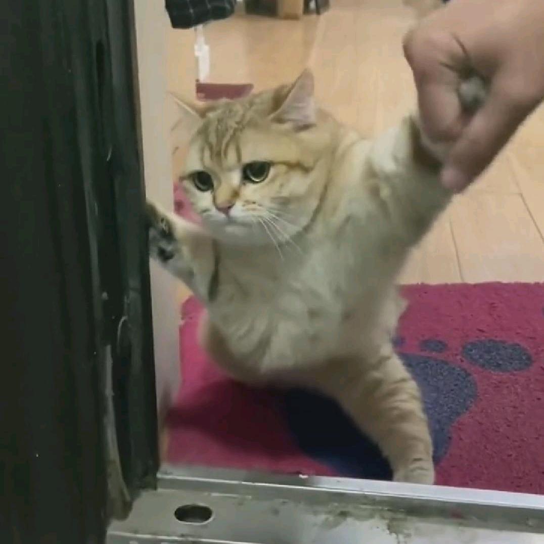 我也值钱了啊