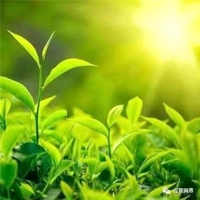 连姐居家养老院