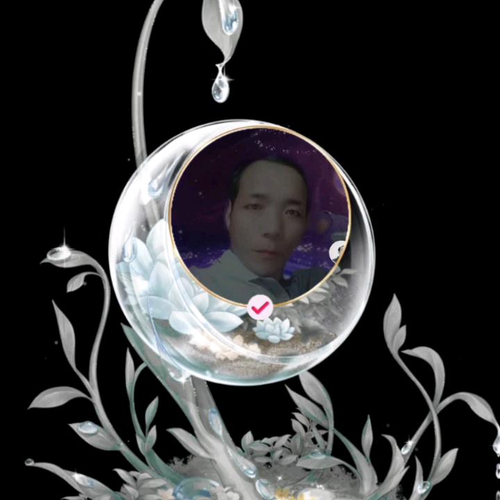 🦋ꦿ᭄໊🕊天涯过客᭄ꦿᩚ٭