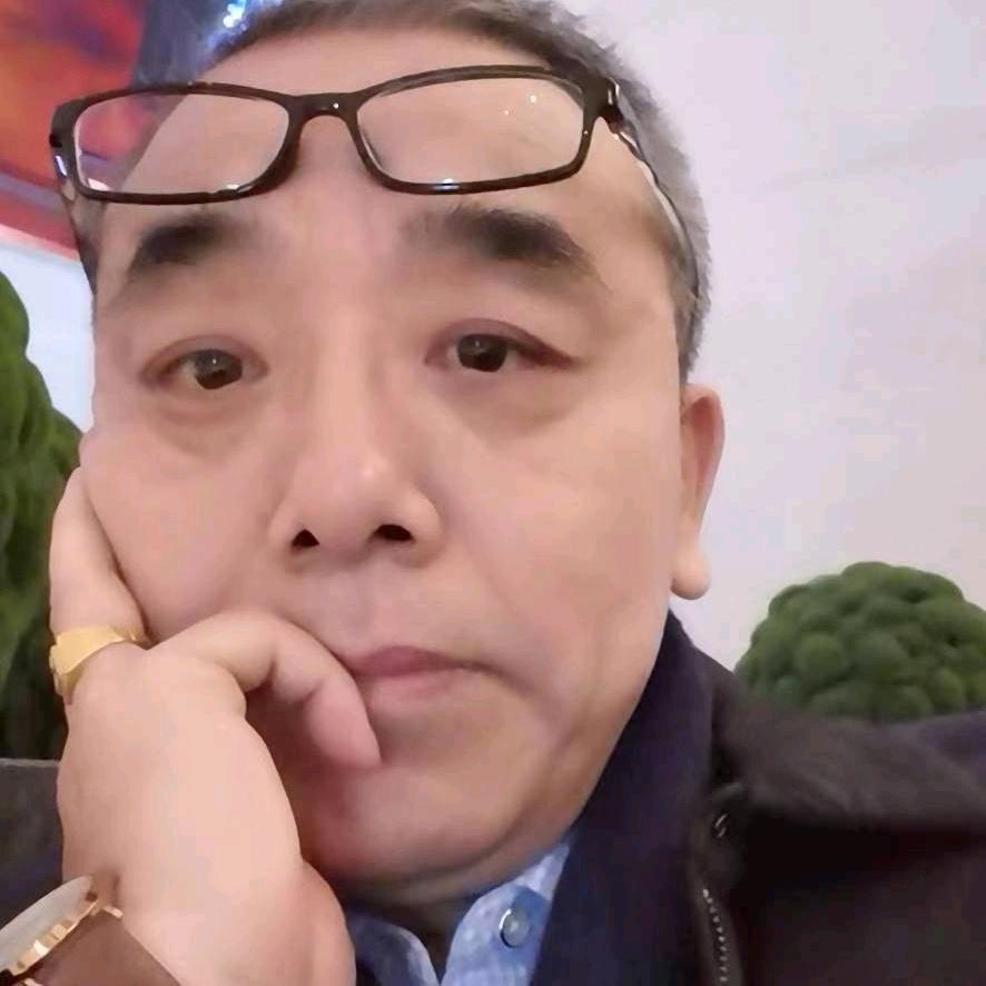 鸿雁鸿雁