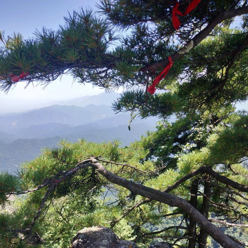 ，相信明天会更好