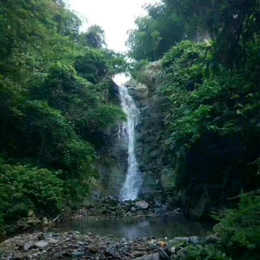 李国梁