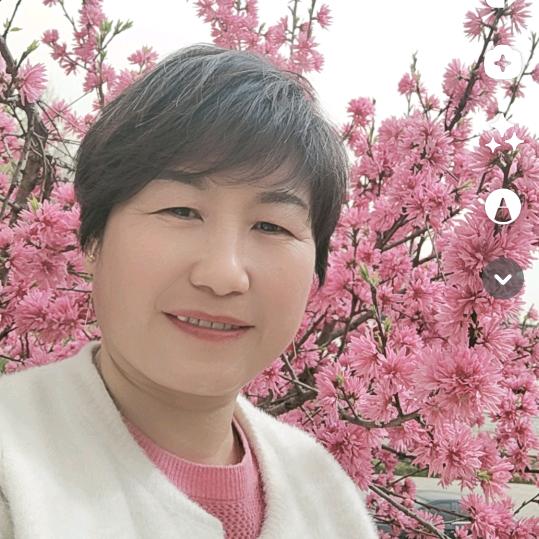 风雨彩虹