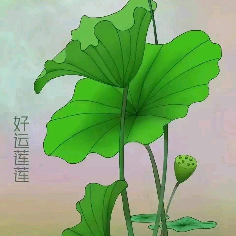 黄河归燕