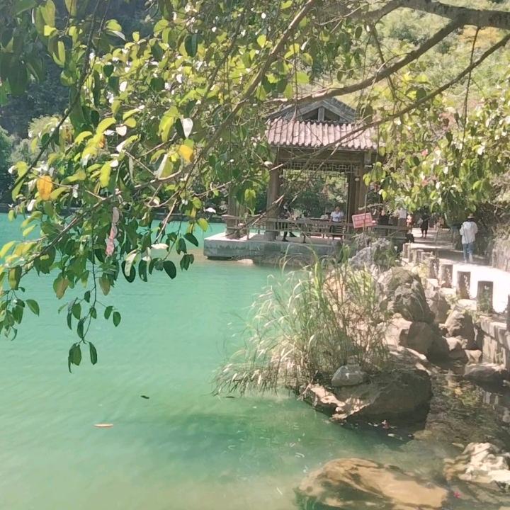 坚持梦想