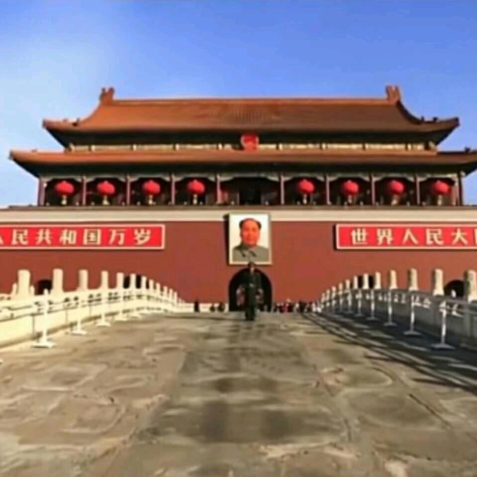 定州陈哥