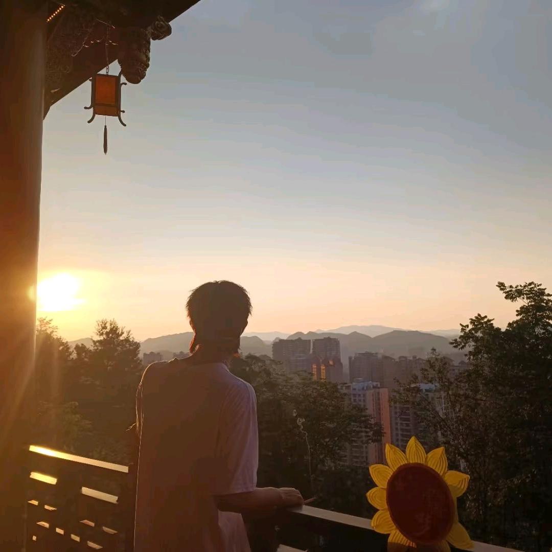 乖乖花卉