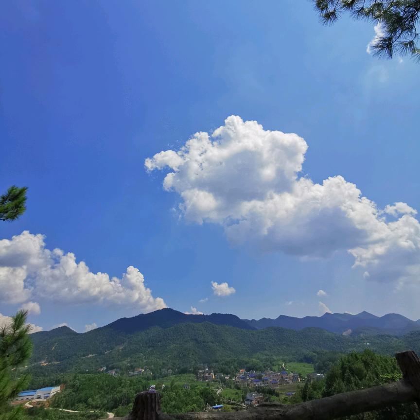 这年代_虚假
