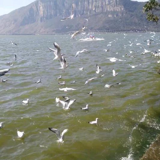 神默都是浮云…